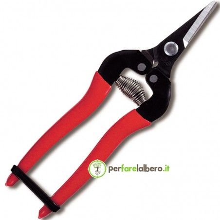 Ernteschere ARS Obstschere 300SS