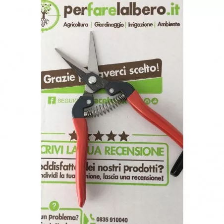 Professional Fruit Harvesting Scissors 300L ARS 19 cm 2