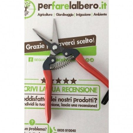 Professionelle Obsternteschere 300L ARS 19 cm