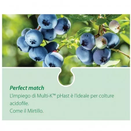Multi-K pHast Nitrato di Potassio HAIFA 25 kg