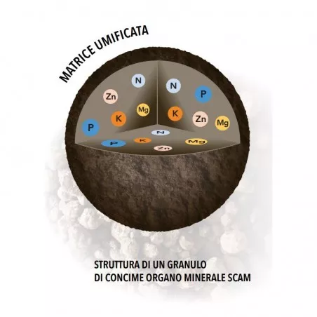 Olivenhain Körniger organisch-mineralischer Dünger NPK... 2