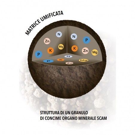 Olivenhain Körniger organisch-mineralischer Dünger NPK 10.5.6+Bor+Eisen+Zink 25 kg