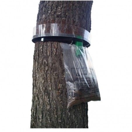 Procerex ® collier Falle zum Fangen von Prozessionsraupen