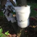 RINCOTRAP 20 mt x 15 cm h Trappola per Oziorrinco