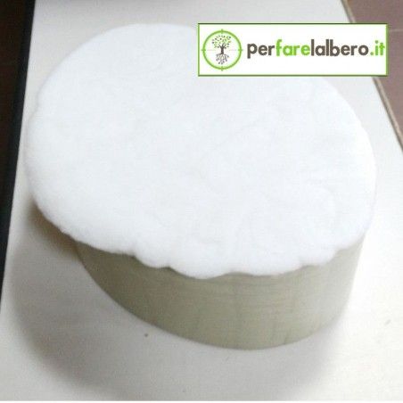 RINCOTRAP 20 mt x 15 cm h Trappola per Oziorrinco
