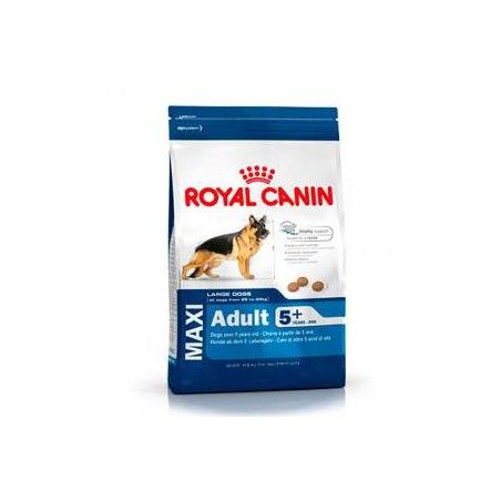 Royal Canin Maxi Adult 5+