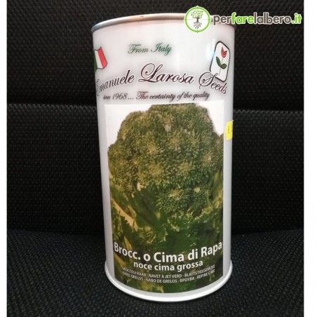 Nasiona Cima di Rapa Novantina Cima Grossa 500 g 2
