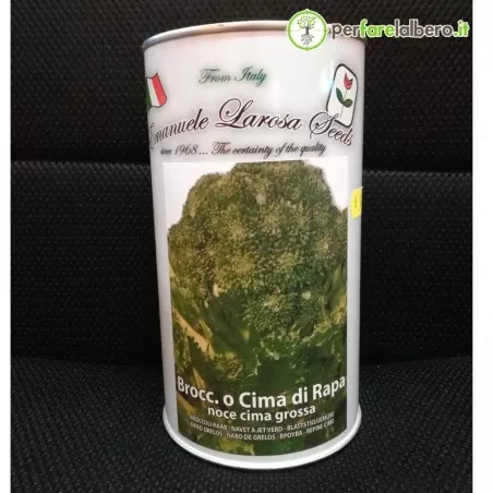Sementi Cima di Rapa Novantina Cima Grossa 500 g 2