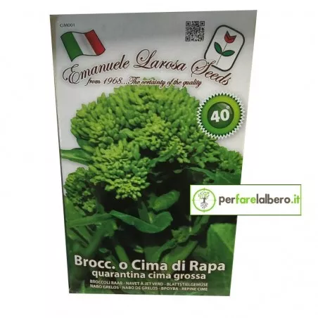 Samen Cima di Rapa Quarantina Cima Grossa 500 g