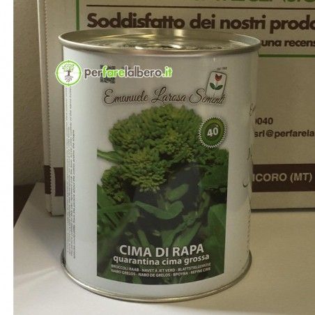 Samen Cima di Rapa Quarantina Cima Grossa 500 g 2