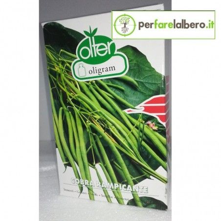 Seeds Cordless Bean Cobra Climber Olter 1 kg