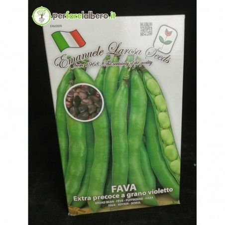 Extra early fava beans with violet wheat 500 g