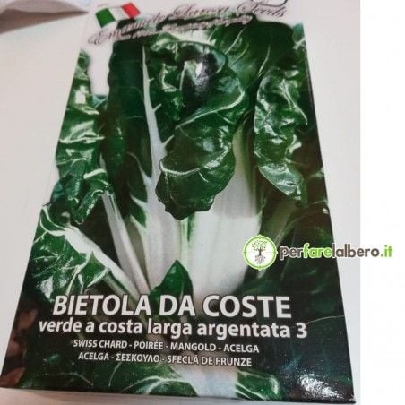 Semi per Bietola da coste verde a costa larga argentata 2