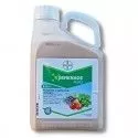 Serenade Aso biologiczny fungicyd bakteriobójczy Bacillus subtilis 5 L