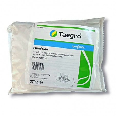 Taegro Syngenta organiczny fungicyd Bacillus amyloliquefaciens szczep FZB24