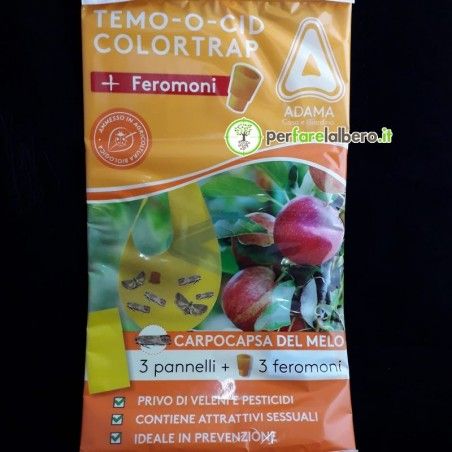 TEMO-O-CID Farbfalle + Pheromone Cydia Pomonella