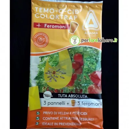Temo-O-Cid Colortrap feromoni per Tuta absoluta