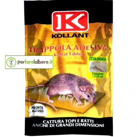 Trappola per topi Adesiva - Kolrat Tablet