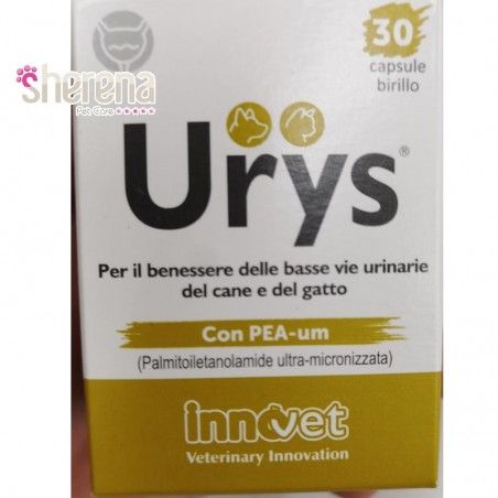 URYS Tabletki PIES i KOT Chroni drogi moczowe 30 cp