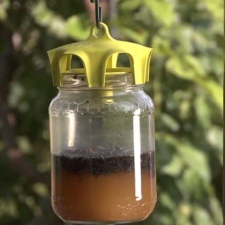 Vaso Trap giallo Trappola per mosche 4 pz 2