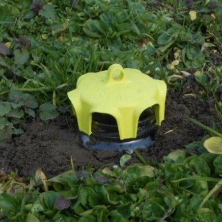 Yellow Trap Vase Fly Trap 4 pcs