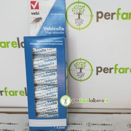 Vebicolla Falle Fliegen ungiftige Klebefalle 6 Stück