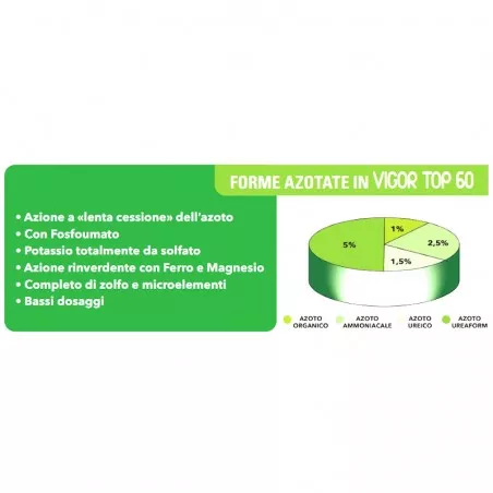 Vigor Top 60 NPK Fertilizer 10.6.14... 2