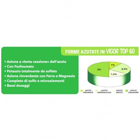 Vigor Top 60 NPK Nawóz 10.6.14 organiczno-mineralny+Bor+Żelazo+25 kg