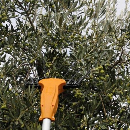 Akkubetriebener Olivenrüttler Volpi Olytech Essential 455L