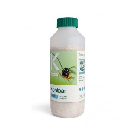 APHIPAR KOPPERT Aphidius colemani Hymenoptera parasitoide Blattläuse