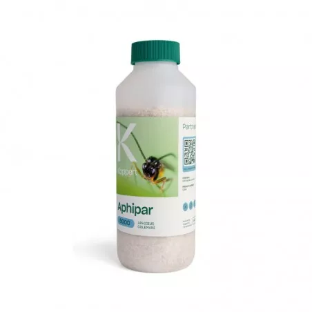APHIPAR KOPPERT Aphidius colemani Hymenoptera parasitoide Blattläuse