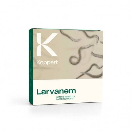 Larvanem Koppert Nematodi contro larve di oziorrinco popillia maggiolino