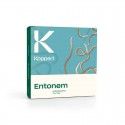 ENTONEM KOPPERT entomopathogene Nematoden Steinernema feltiae