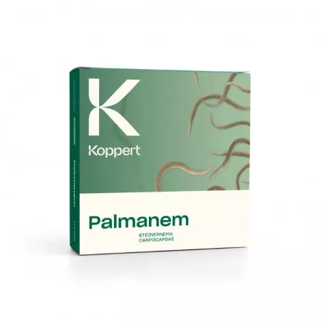 Palmanem KOPPERT nematodes to defend palm trees against Paysandisia and Red Weevil
