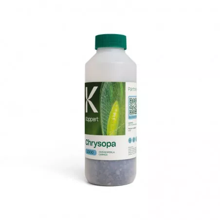 CHRYSOPA Koppert Chrysoperla carnea contro Afidi mosca bianca tripidi