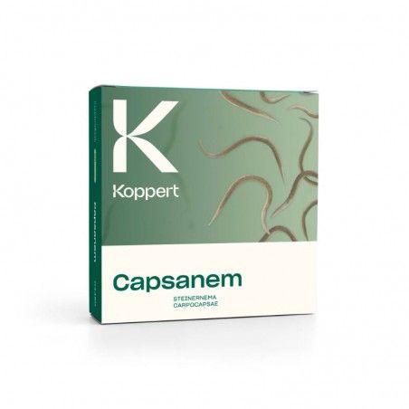 CAPSANEM Koppert Steinernema carpocapsae Nematodi entomopatogeni