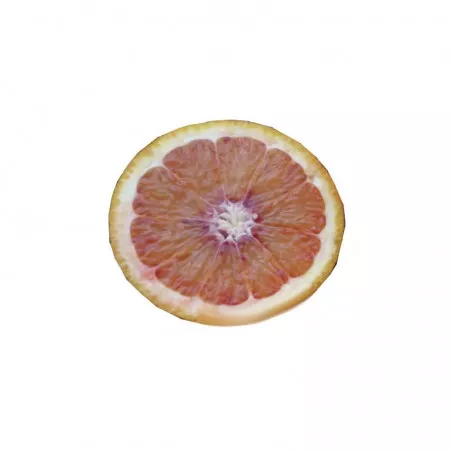 Orange Tarocco Meli Plant (Citrus sinensis)