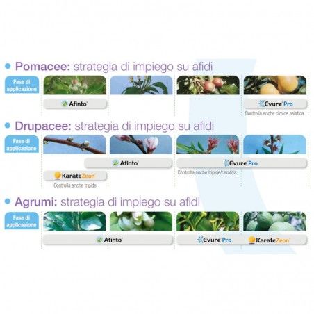 Afinto (Teppeki) insetticida sistemico contro afidi e aulerodidi Flonicamide