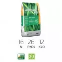 Landscaper Pro New Grass 16-24-12 concime per prato