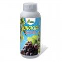 Idrorame Flow Fungicida solfato tribasico di Rame PFnPE