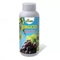 Idrorame Flow Fungicida solfato tribasico di Rame PFnPE