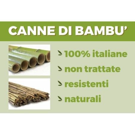 Italienische Bambusrohre Pflanzentutoren h100 cm Bündel... 2