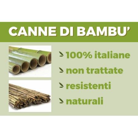 Canne di Bambù Italiane Tutori piante h100 cm fasci da 20 pz