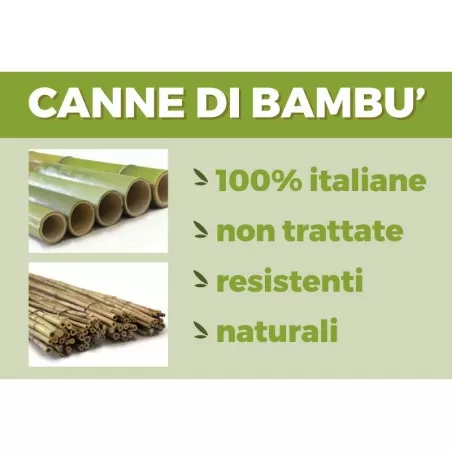 Italienische Bambusrohre Pflanzentutoren h120 cm Bündel à... 2