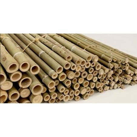 Italian Bamboo Canes Plant Tutors h120 cm bundles of 20 pcs