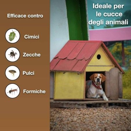 AMP 2 CL Vebi Milbe kriechendes fliegendes Insektizid 500 ml