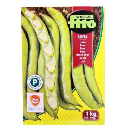 Semi di fave precoci FITO Sofia 2