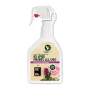 KO mszyce RTU VerdeVivo Miękkie mydło potasowe gotowe do użycia 750 ml