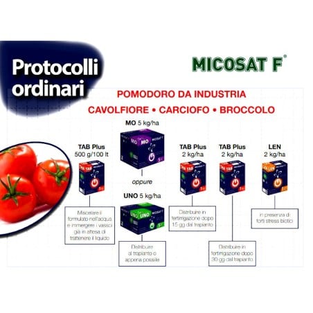 MICOSAT F MO Organischer Naturdünger 1 kg 2