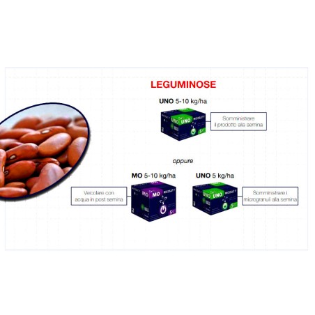 MICOSAT F UNO granulare Fertilizzante e biostimolante 2 kg